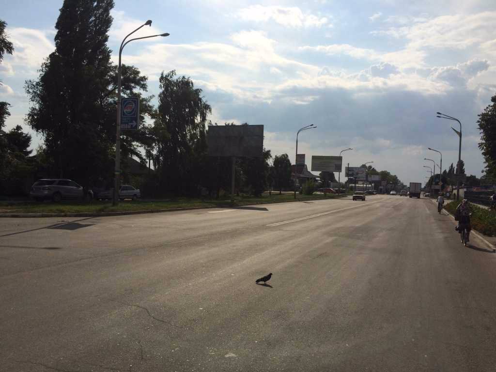 Билборд формат 3x6 №105778 в городе Павлоград (Днепропетровская область) `Билборд №105778 в городе Павлоград (Днепропетровская область), размещение наружной рекламы, IDMedia-аренда по самым низким ценам!`