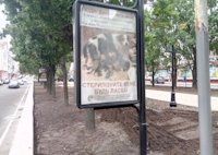 `Ситилайт №138233 в городе Чернигов (Черниговская область), размещение наружной рекламы, IDMedia-аренда по самым низким ценам!`