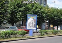 `Ситилайт №140931 в городе Ровно (Ровенская область), размещение наружной рекламы, IDMedia-аренда по самым низким ценам!`