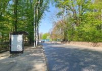 Сітілайт №144422 в місті Львів (Львівська область), розміщення зовнішнішньої реклами, IDMedia-оренда найнижчі ціни!