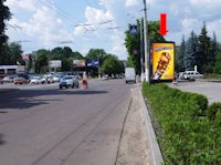 `Ситилайт №173372 в городе Житомир (Житомирская область), размещение наружной рекламы, IDMedia-аренда по самым низким ценам!`