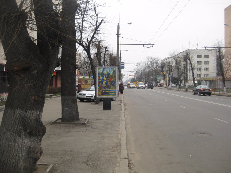 Сітілайт №192499 в місті Житомир (Житомирська область), розміщення зовнішнішньої реклами, IDMedia-оренда найнижчі ціни!