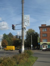 Холдер в городе Шостка #213491 по адресу Свободы-Короленко (кафе "Ани" ) `Холдер №213491 в городе Шостка (Сумская область), размещение наружной рекламы, IDMedia-аренда по самым низким ценам!`