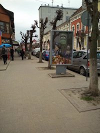 `Ситилайт №213900 в городе Коломыя (Ивано-Франковская область), размещение наружной рекламы, IDMedia-аренда по самым низким ценам!`