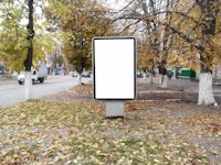 `Ситилайт №214604 в городе Фастов (Киевская область), размещение наружной рекламы, IDMedia-аренда по самым низким ценам!`