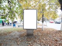 Сітілайт №214609 в місті Фастів (Київська область), розміщення зовнішнішньої реклами, IDMedia-оренда найнижчі ціни!