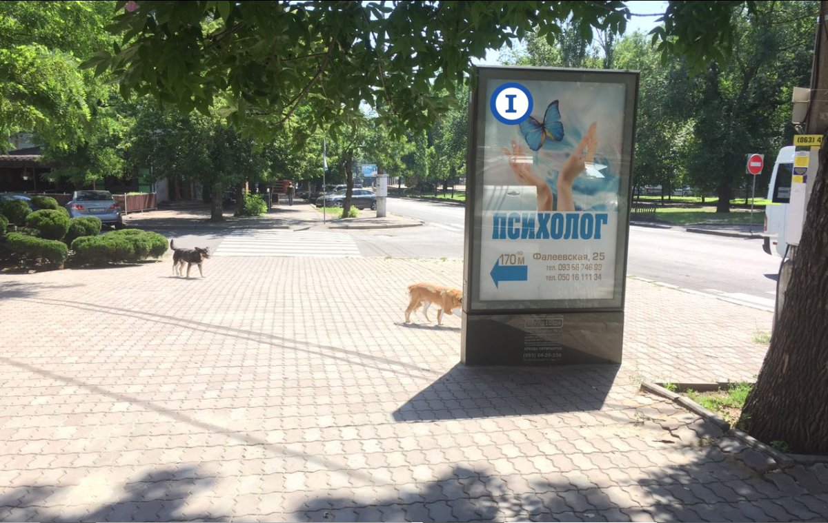 Скрол №232354 в місті Миколаїв (Миколаївська область), розміщення зовнішнішньої реклами, IDMedia-оренда найнижчі ціни!