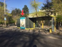 Зупинка №240513 в місті Дніпро (Дніпропетровська область), розміщення зовнішнішньої реклами, IDMedia-оренда найнижчі ціни!
