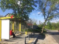 Зупинка №240558 в місті Дніпро (Дніпропетровська область), розміщення зовнішнішньої реклами, IDMedia-оренда найнижчі ціни!