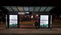 Ситилайт №251323 в городе Житомир (Житомирская область), размещение наружной рекламы, IDMedia-аренда по самым низким ценам!
