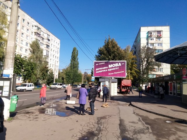 Білборд №259649 в місті Житомир (Житомирська область), розміщення зовнішнішньої реклами, IDMedia-оренда найнижчі ціни!