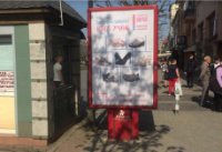 Ситилайт №261923 в городе Мукачево (Закарпатская область), размещение наружной рекламы, IDMedia-аренда по самым низким ценам!