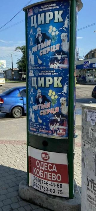 Тумба №262137 в місті Запоріжжя (Запорізька область), розміщення зовнішнішньої реклами, IDMedia-оренда найнижчі ціни!