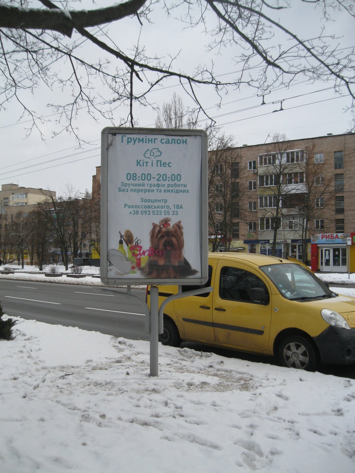 Сітілайт №264818 в місті Чернігів (Чернігівська область), розміщення зовнішнішньої реклами, IDMedia-оренда найнижчі ціни!