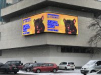 Екран №265007 в місті Київ (Київська область), розміщення зовнішнішньої реклами, IDMedia-оренда найнижчі ціни!