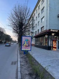 Сітілайт №265654 в місті Житомир (Житомирська область), розміщення зовнішнішньої реклами, IDMedia-оренда найнижчі ціни!