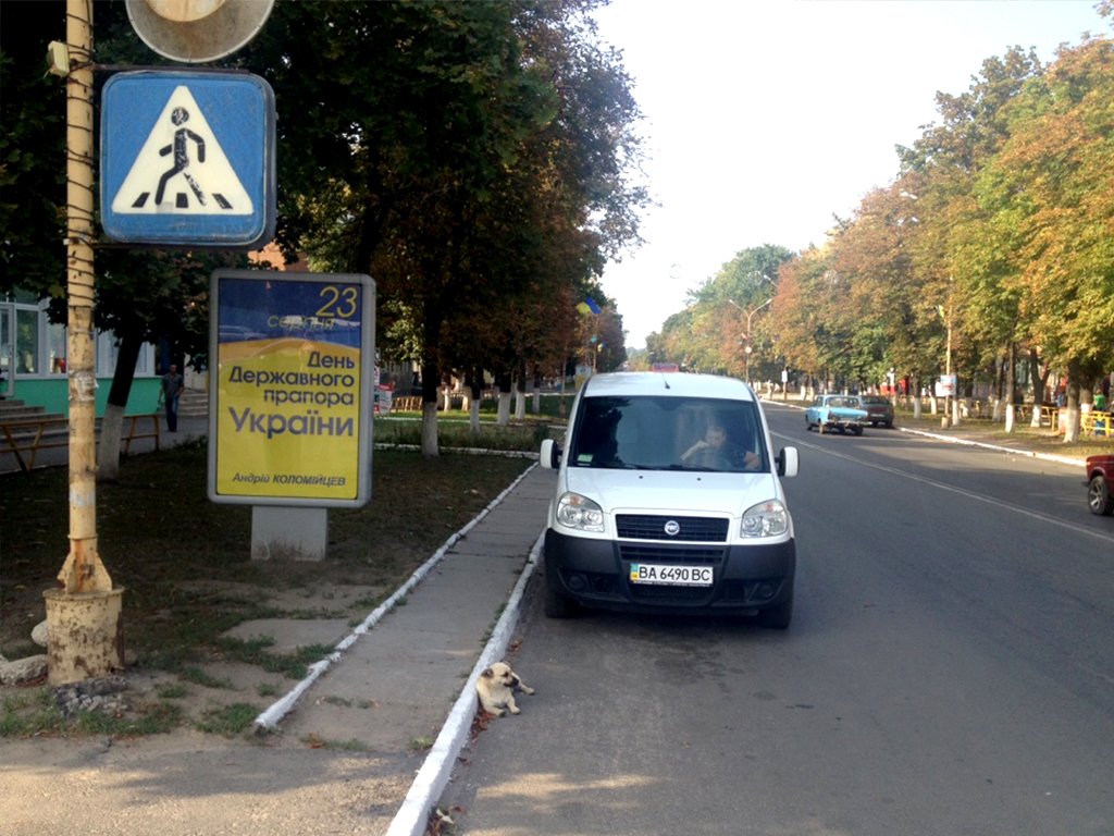 `Ситилайт №265946 в городе Александрия (Кировоградская область), размещение наружной рекламы, IDMedia-аренда по самым низким ценам!`