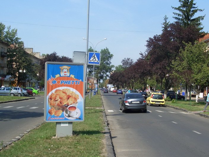 `Ситилайт №266227 в городе Ужгород (Закарпатская область), размещение наружной рекламы, IDMedia-аренда по самым низким ценам!`