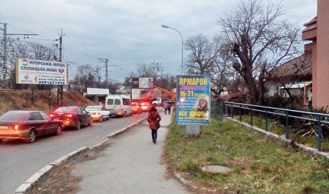 Сітілайт №266245 в місті Ужгород (Закарпатська область), розміщення зовнішнішньої реклами, IDMedia-оренда найнижчі ціни!