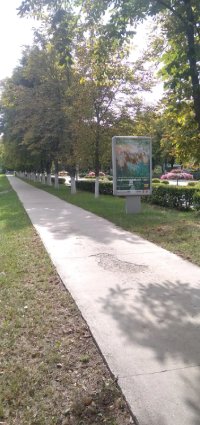 Сітілайт №267834 в місті Ладижин (Вінницька область), розміщення зовнішнішньої реклами, IDMedia-оренда найнижчі ціни!
