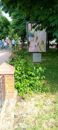 Ситилайт в городе Могилев-Подольский #269428 по адресу Стависька, 24 центральна вулиця `Ситилайт №269428 в городе Могилев-Подольский (Винницкая область), размещение наружной рекламы, IDMedia-аренда по самым низким ценам!`