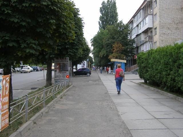 Сітілайт формат 1.2х1.8 №269555 в городе Чернівці (Чернівецька область) Сітілайт №269555 в місті Чернівці (Чернівецька область), розміщення зовнішнішньої реклами, IDMedia-оренда найнижчі ціни!