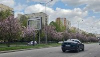 Беклайт №270441 в місті Львів (Львівська область), розміщення зовнішнішньої реклами, IDMedia-оренда найнижчі ціни!