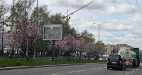 Скрол у місті Львів #270444 за адресою Наукова вул., 30 (до вул. Кульпарківська) Скрол №270444 в місті Львів (Львівська область), розміщення зовнішнішньої реклами, IDMedia-оренда найнижчі ціни!